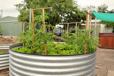 Photos of Dingo Garden & Tanks
