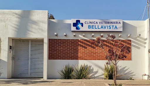 Clínica Veterinaria Bellavista