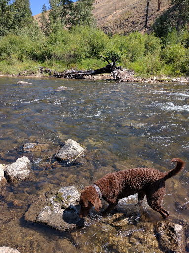 Moosehead Campground - Thumbnail