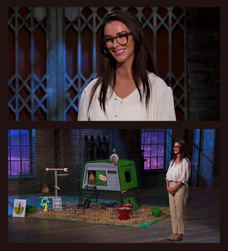 Hen Weekend Chicken Boarding