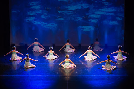 Etude danza Gallery - Italy