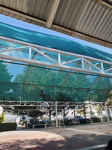 Canchas de Proformex - Visual