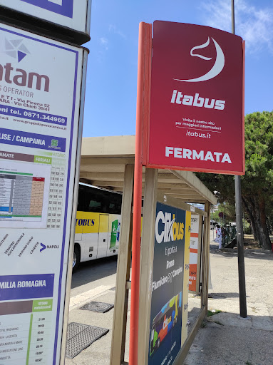 Itabus fermata - Visual