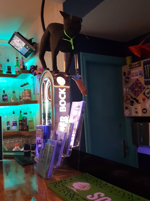 Black Cat Bar