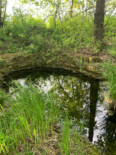 Diehlbrunnen - Visual