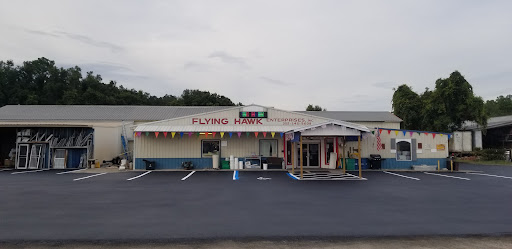 Flying Hawk - Visual