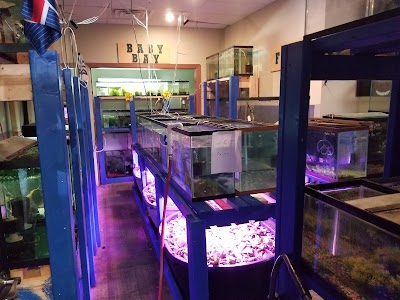 Aquarius Aquatics