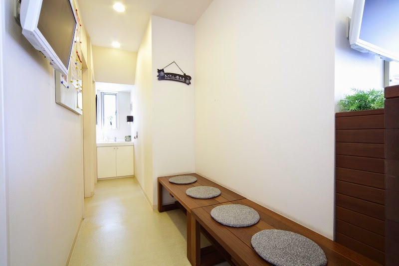 アンジェス動物病院 茅ヶ崎