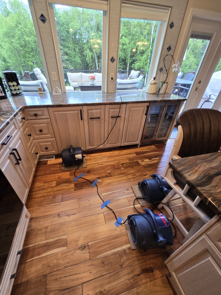 Fire & Flood Services Inc photo