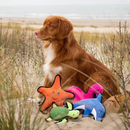 Sara Nicole Fine Pet Boutique - Thumbnail