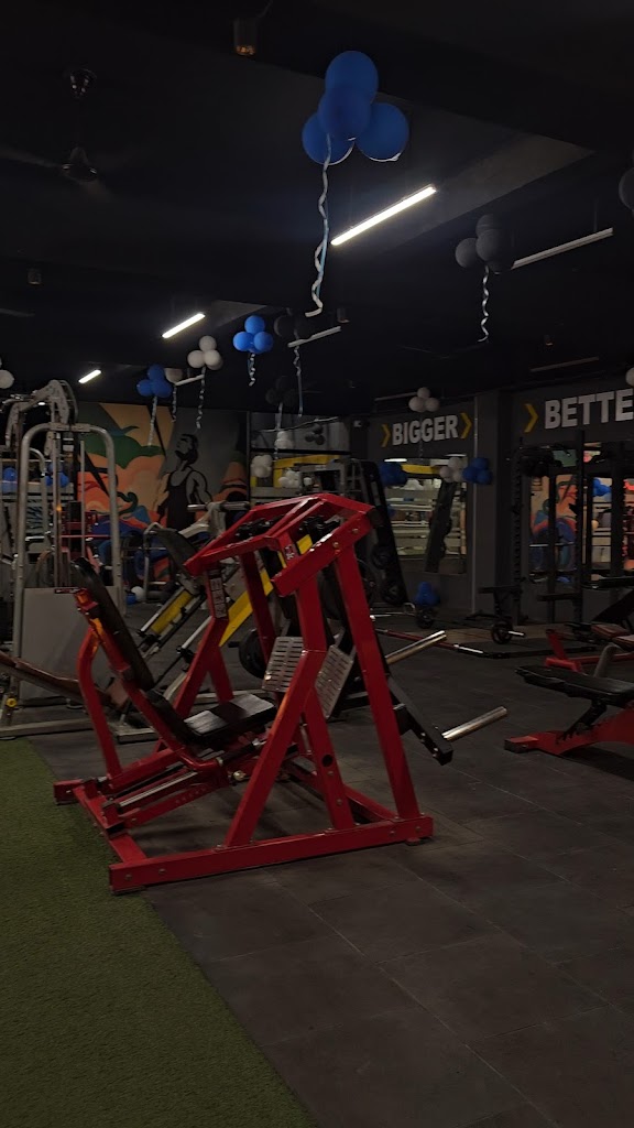 Aesthetic Fitness Gym