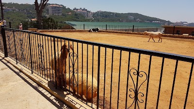Photos of Ferme Mar Chaaya