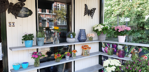 Bloemen En Planten Oud Hollandt - Thumbnail