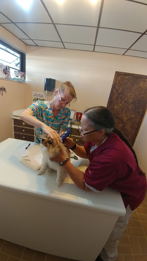Ark Animal Hospital & Clinic (CALM VETERINARY PRACTICE)) - Thumbnail
