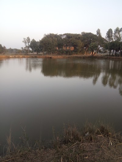 Photos of ভীমের পাণ্টি লাঠি