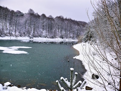 Photos of Atat&uuml;rk Arboretum