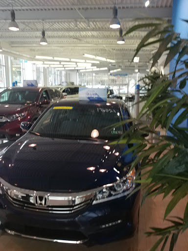 Piazza Honda of Springfield - Thumbnail