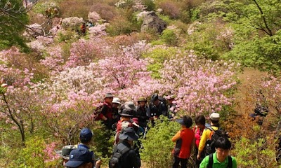 Photos of 서리산