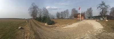 Photos of Okeanas kennel - Labradoro Retriveriai, Meino Me&scaron;kėnai, Lagotto Romagnolo