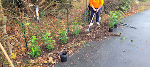 Photo n°22 de ZELTZ ET FILS (entretien espace vert, élagage, peinture, toiture) à Verrières-en-Anjou (Peintre en bâtiment)