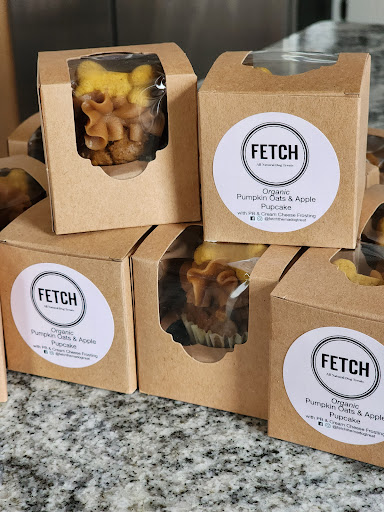 Fetch LLC - Visual