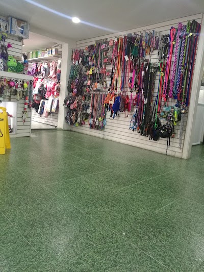 Photos of kanicat- veterinary clinic