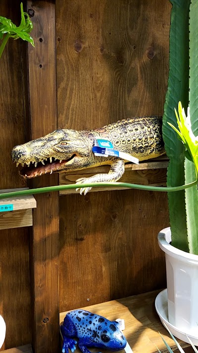 花びぜん ｃｒｏｓｓｇａｒｄｅｎ富士中央店生花部門 Florist Fujinomiya Shi Shizuoka