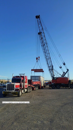 Trans-Logistics Management Services Inc.