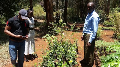 Photos of Muringato Forest