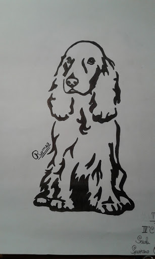 Ambulatorio Veterinario Dott.Rinaldi - Thumbnail