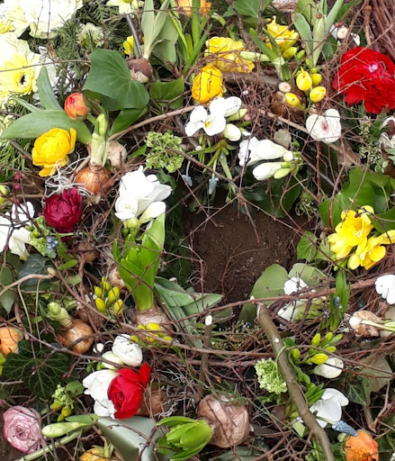 Blumen Hettmann - Thumbnail