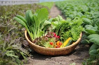 株式会社サガンベジ