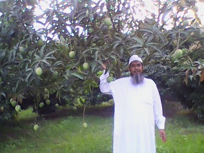 Photos of লিচু বাগান