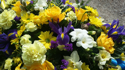 Hilltop Nurseries Gallery - United Kingdom