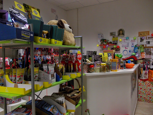 Il Supermarket di Zazà di Vincenza Tumino - Thumbnail