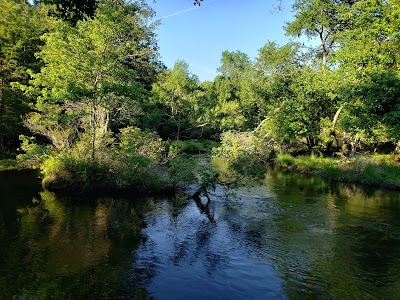 Wharton State Park camping site