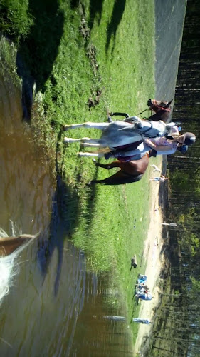 Opinii despre Ścieżka Edukacyjno-Wypoczynkowa "Maziarnia" în Stalowa Wola - Pole kempingowe