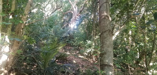 Granfield Place Reserve