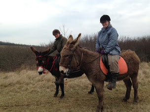 Photo n°9 de La Boutique du Cavalier à Montigny-aux-Amognes (Magasin d'articles de sports)