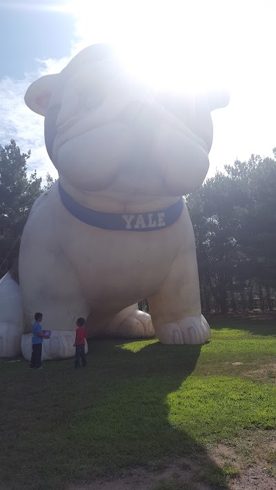 Yale Bowl