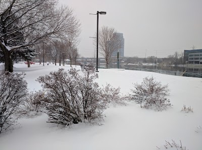 Photos of 6th Street Bridge Park