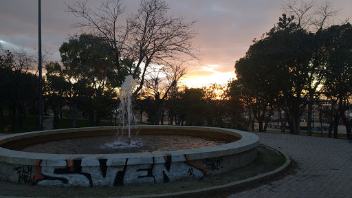 Park Fountain Lover