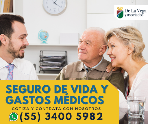 De la Vega Seguros y Fianzas Gallery - Mexico