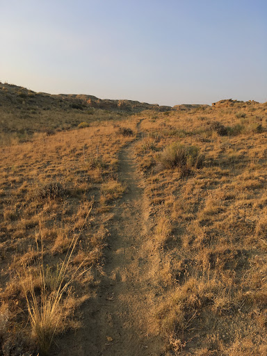 Area-X Trailhead - Thumbnail