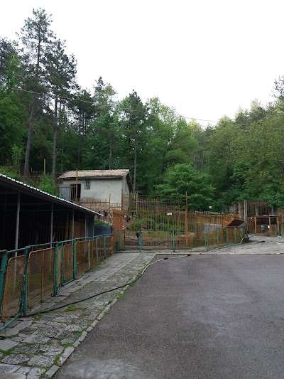 Photos of Shumen zoo