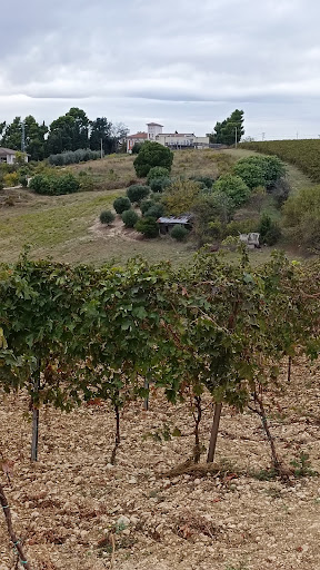 Villa De Vecchis - Visual