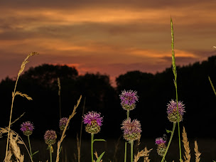 Photo n°13 de Golf Valence Saint-Didier à Charpey (Parcours de golf)