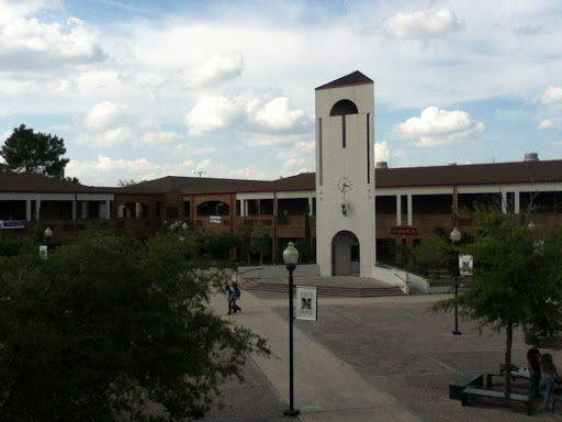 Mandarin High School - Visual