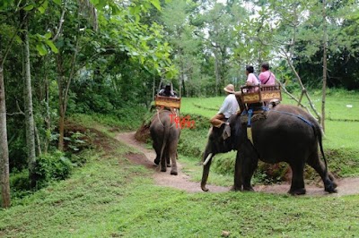 Photos of Bali Elephant Ride