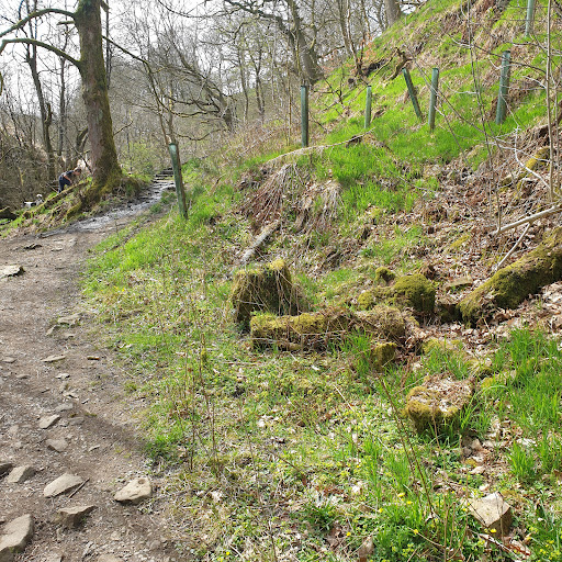 Gorpley Clough - Thumbnail